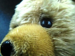 beige bear green ribbon face good